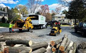 How Our Tree Care Process Works  in  Leola, PA